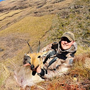 South Africa Hunting Mountain Reedbuck