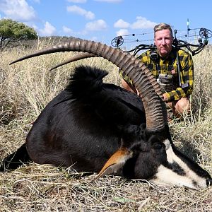 Bow Hunt Sable Antelope in South Africa