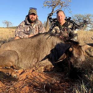 South Africa Bow Hunting Blue Wildebeest