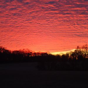 Land I used to deer hunt on