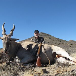 South Africa Hunting Eland