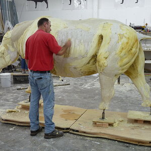 White Rhino Mounting Process