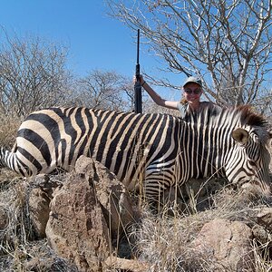 Hartmann's Mountain Zebra Hunting Namibia