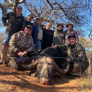 South Africa Hunt Cape Buffalo