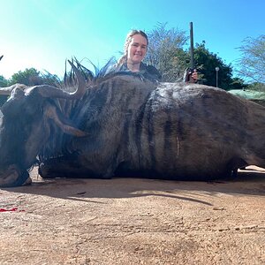 Blue Wildebeest Hunt South Africa