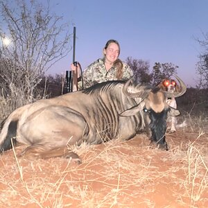 Blue Wildebeest Hunting South Africa