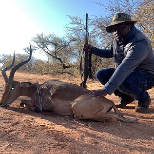 South Africa Hunting Impala