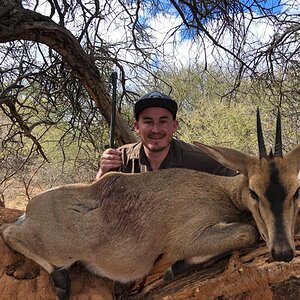 Hunting Duiker in South Africa