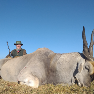 South Africa Hunting Eland