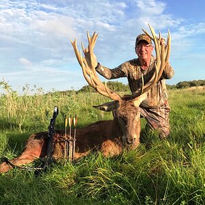 Bow Hunting Red Stag in Argentina