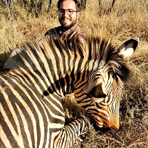 South Africa Hunting Hartmann's Mountain Zebra