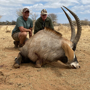 29” Inch Roan Hunting in South Africa