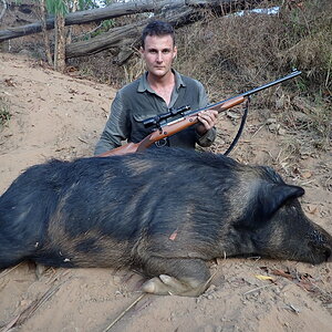 Hunt Boar in Australia