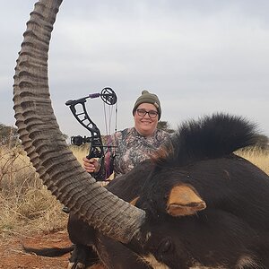 Bow Hunt Sable Antelope in South Africa