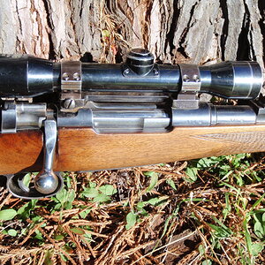 1893 Mauser DWM original Sporting 7x57 Rifle