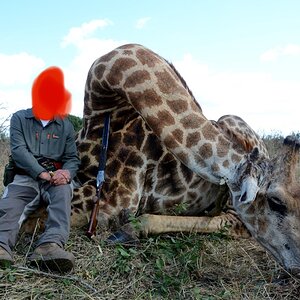 Hunt Giraffe in South Africa