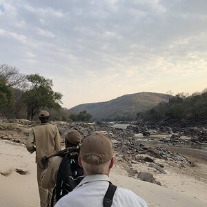 Hunting Area Zambia