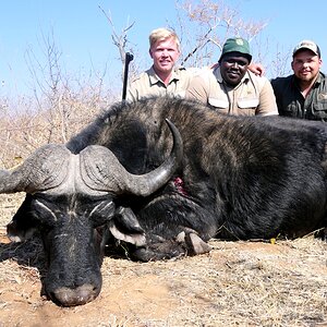 Hunting Buffalo in South Africa