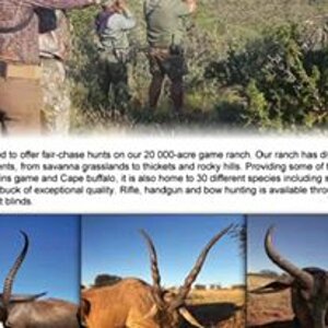 Waterbuck Hunt with Hartzview Safaris