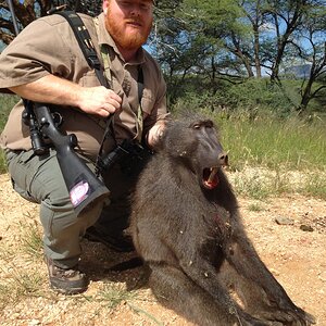 Hunt Baboon