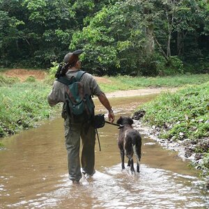 Hunting Gabon