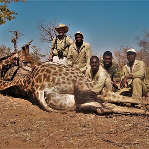 Zimbabwe Hunt Giraffe