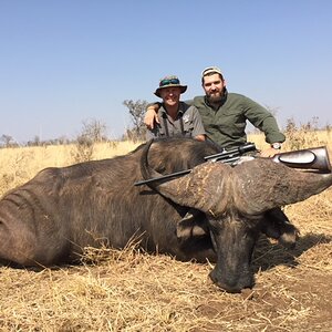 Buffalo Hunting Zimbabwe