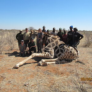 Giraffe Hunt Namibia