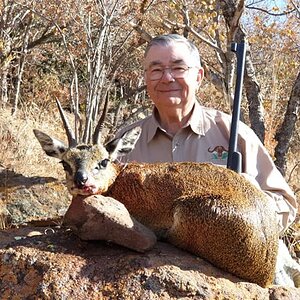 South Africa Hunt Klipspringer