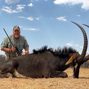 Hunt Sable Antelope in South Africa