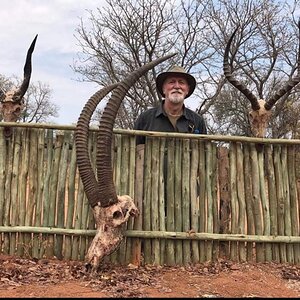 South Africa Hunting Bushbuck, Sable & Impala