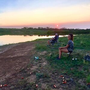 Hunting Doves in Texas USA