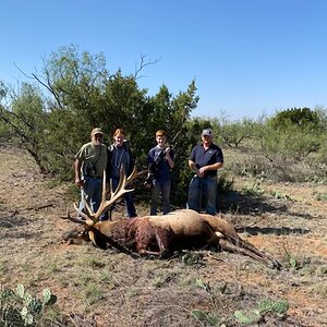 Texas USA Hunt Elk