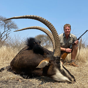 Hunting Sable in South Africa