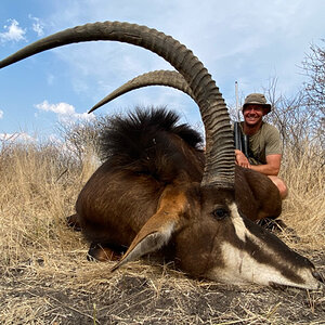 South Africa Hunt Sable Antelope