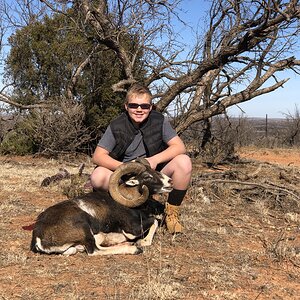 Hunting Corsican Sheep in Texas USA