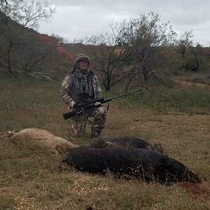 Hunting Boar in Texas USA