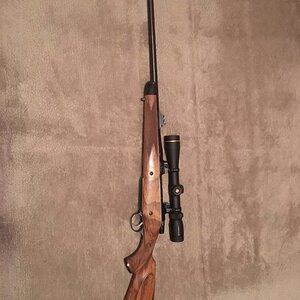 CZ 550 in 416 Rigby Rifle