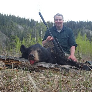 Bear Hunting Alaska USA