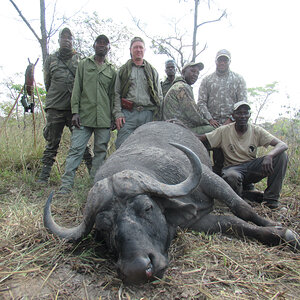 Buffalo Hunting Tanzania