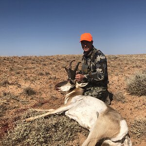 Hunt Pronghorn