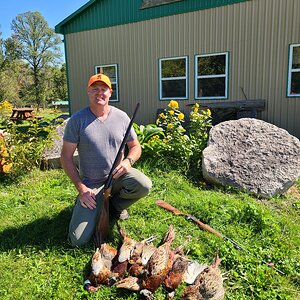 Hunt Pheasants & Bobwhite Quail in Canada