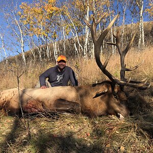 Hunting Elk in Canada