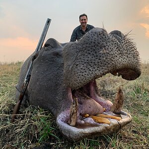 Hunt Hippo in the Caprivi Namibia