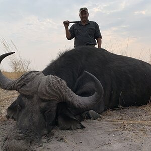 Hunting Buffalo in the Caprivi Namibia