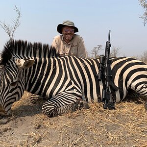 Hunt Chapman's Zebra in Caprivi Namibia