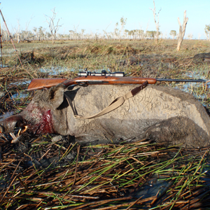 Boar Hunting Australia