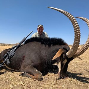 Caprivi Namibia Hunting Sable