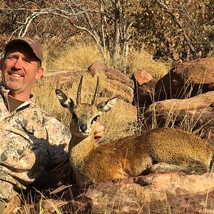 South Africa Hunting Klipspringer