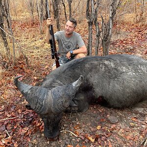 Zambia Hunting Buffalo